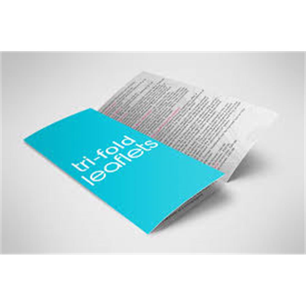 A4 folded to DL flyers