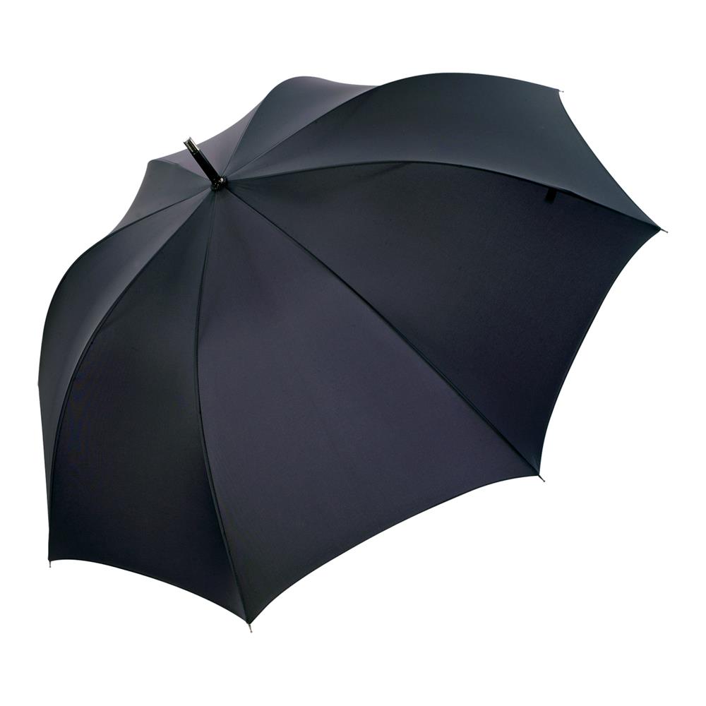 Curve Umbrella