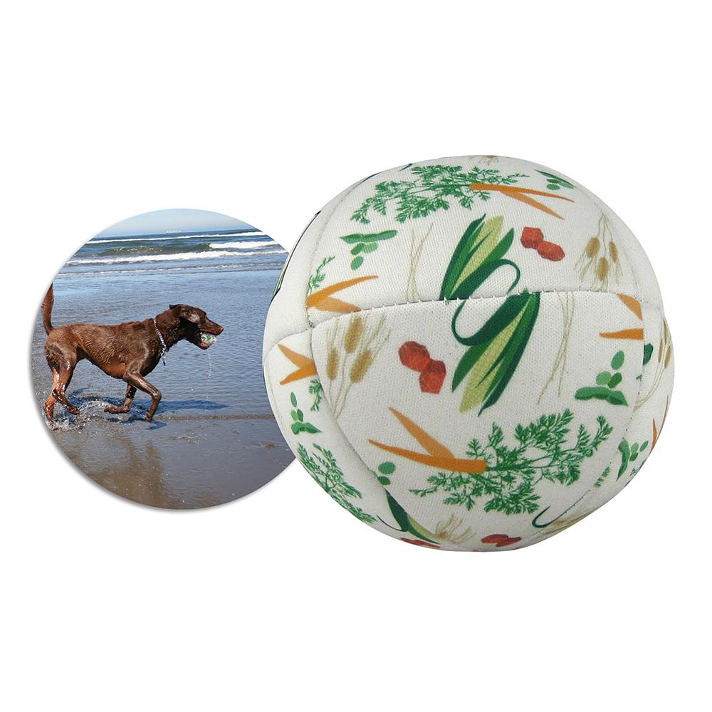 Pet Ball