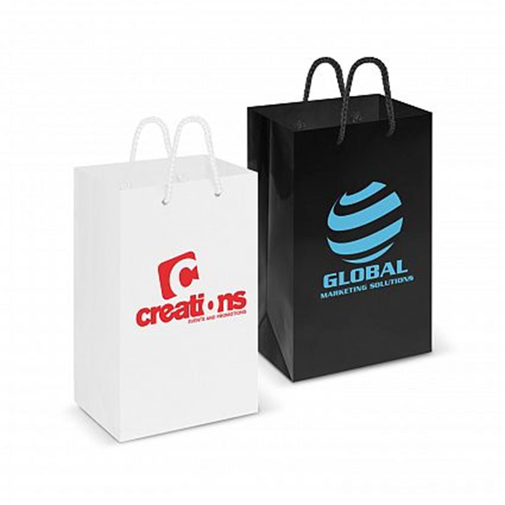 Small Laminated Carry Bag
